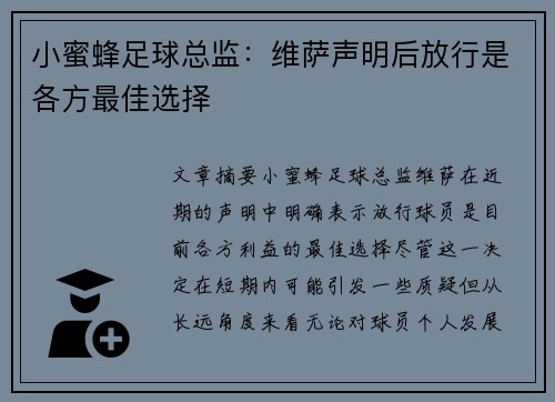 小蜜蜂足球总监：维萨声明后放行是各方最佳选择